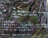 さっぱり美味しい紫蘇ジュースシロップ作り方8写真