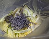 塩昆布で簡単！オレンジクインの浅漬け作り方3写真