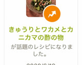 きゅうりとワカメとカニカマの酢の物作り方11写真