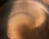 濃いお出汁で茶碗蒸し♡オーブン任せ簡単作り方3写真