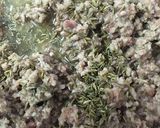 基本のキーマカレー作り方17写真