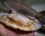 ホタテのヒモで♫バター醤油じゅわぁ～♡作り方2写真