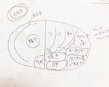 高校1年女子お弁当♡2020.06.22作り方9写真