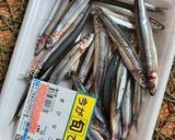 きびなごのカリカリ生姜醤油味作り方1写真