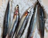きびなごのカリカリ生姜醤油味作り方4写真