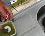 抹茶芋作り方5写真