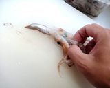 奇をてらわずに。イカの塩辛作り方5写真