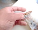 奇をてらわずに。イカの塩辛作り方7写真