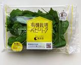 人類皆楽しめる簡単サラダ作り方1写真