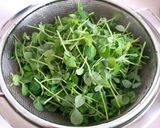 豆苗炒め作り方1写真