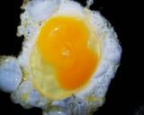 激安！鶏むねのお好み焼き山芋入り作り方8写真