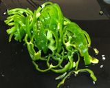 超簡単ピーマンの箸休め作り方1写真