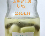 10％のあら塩で簡単らっきょうの塩漬け作り方8写真