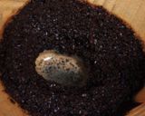 美味しいコーヒーの入れ方作り方12写真