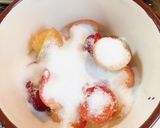 甘酸っぱいぷらむソース作り方1写真