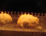 鶏むね肉のチーズサンド（グリル焼き）作り方10写真