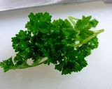 緑茶と帆立とトマトのカクテル作り方19写真