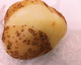 簡単！おやつに！ベイクドポテト作り方2写真