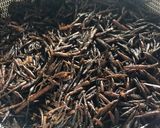 ごはんがすすむ ひじきのそぼろ煮作り方1写真