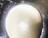 自家製酵母(天然酵母)の作り方作り方9写真