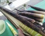 水から茹でて放置*破竹の灰汁抜き&水煮作り方1写真