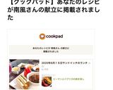 ピーマンとパプリカの焼き浸し作り方16写真