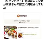 ピーマンとパプリカの焼き浸し作り方17写真