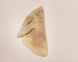 納豆餃子作り方5写真