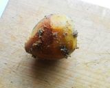 バルバビエトーラ ルナのぬか漬け作り方4写真