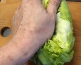 キャベツに負けるな！やみつきレタス作り方1写真
