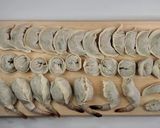 子供と一緒に作る色んな餃子作り作り方16写真