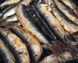 デパ地下風いわしの佃煮（甘露煮）作り方7写真