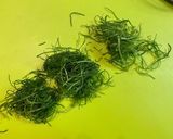 おかひじきと豆のチキンサラダ作り方6写真