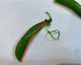おかひじきと豆のチキンサラダ作り方8写真