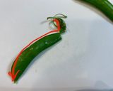 おかひじきと豆のチキンサラダ作り方9写真