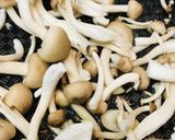 レトルト●きのこのバターソテーのカレー作り方1写真