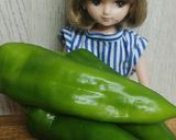 リカちゃん♡甘辛しし唐と高野豆腐炊いたん作り方1写真