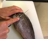 イサキのお刺身作り方3写真
