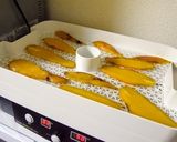 フードドライヤーで薩摩芋のねっとり干し芋作り方5写真