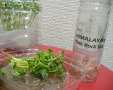 かいわれ大根と岩塩のおかゆ作り方6写真