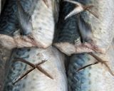 鯖味噌めんたい作り方1写真