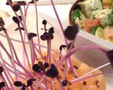 作り置きおかず スヌーピー弁当 詰め方作り方11写真