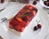 ゼリーテリーヌ作り方11写真