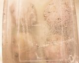 レーズン食パン！バター油卵牛乳砂糖無し作り方8写真