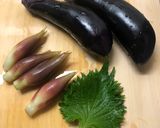 夏野菜の浅漬け♪作り方1写真