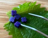 鮮やか❁❀✿✾あじさい弁当作り方4写真