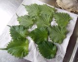 シソの葉の麺つゆ漬け作り方2写真