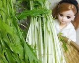 リカちゃん♡水菜とスルメの辛子醤油和えꕤ作り方1写真