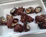 実はアワビより好きなんです。サザエの刺身作り方1写真