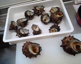 実はアワビより好きなんです。サザエの刺身作り方4写真